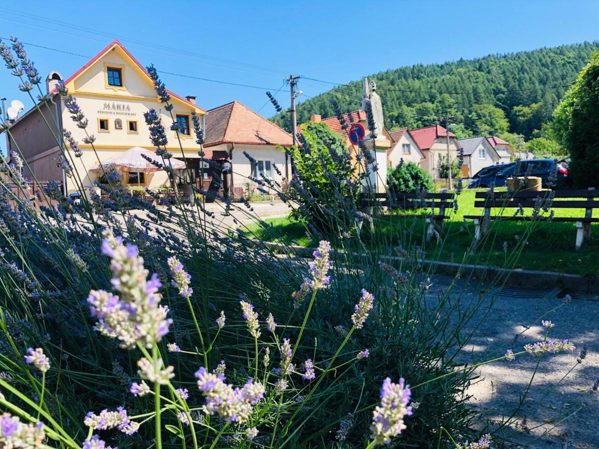 Maria Penzion & Restaurant Тренчин Экстерьер фото