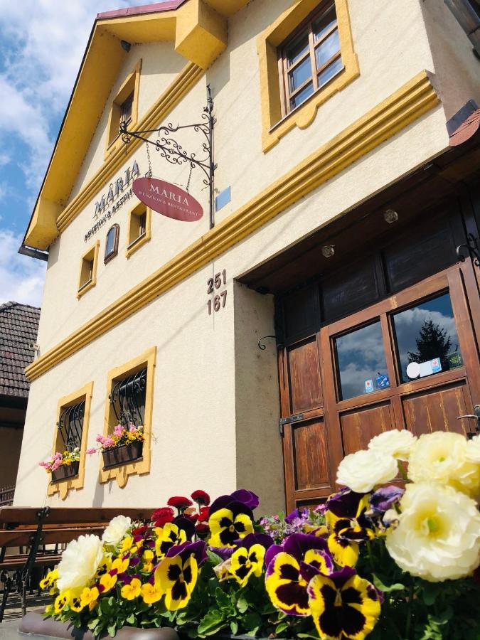 Maria Penzion & Restaurant Тренчин Экстерьер фото
